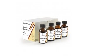 Ретушь лаковая Ritocco Semicoprente цв.10 (30мл) лиственница